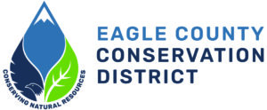 ECCD-Logo-Color